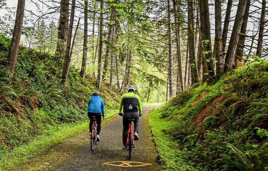 A very green section on the Row River Trail