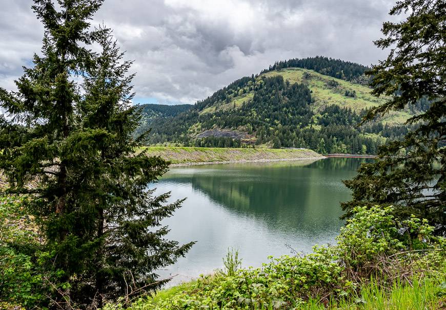 A view of Dorena Lake