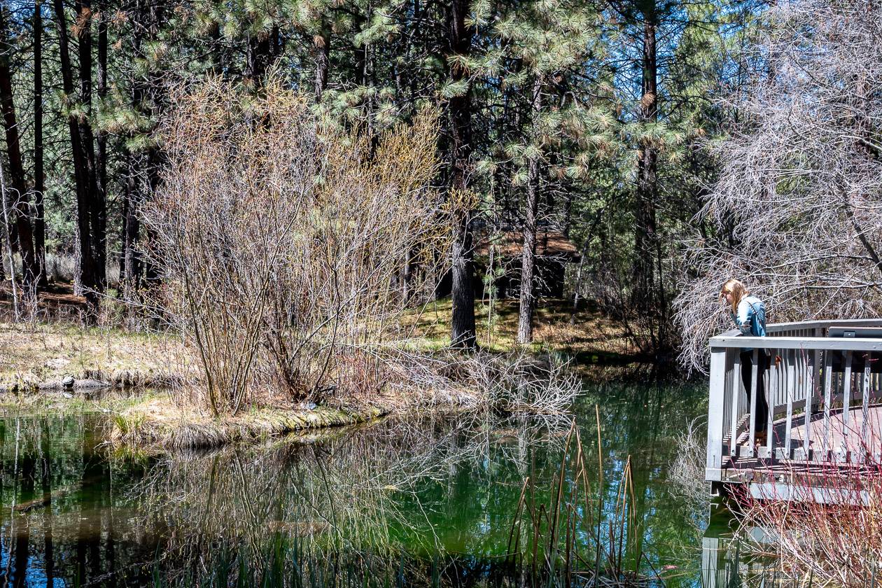 Pond at the High Desert Museum