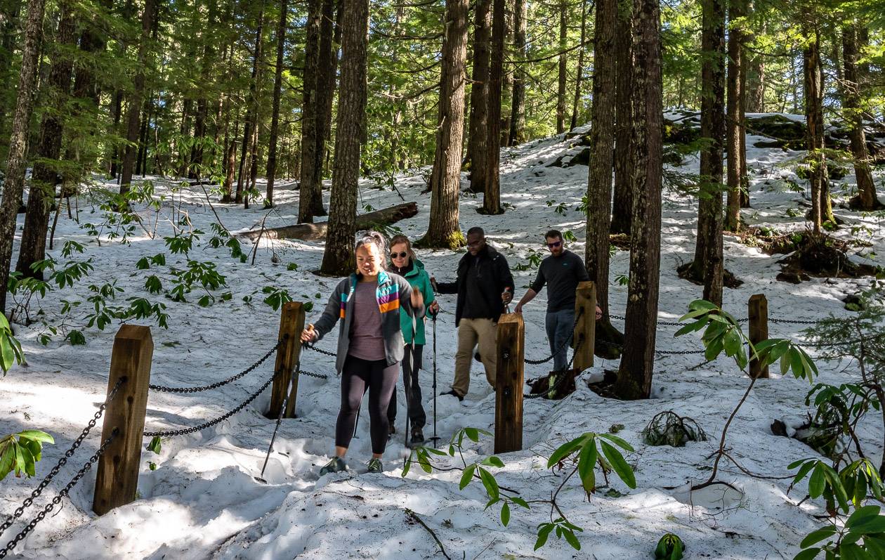 Hiking through rhodos and snow to Salt Creek Falls