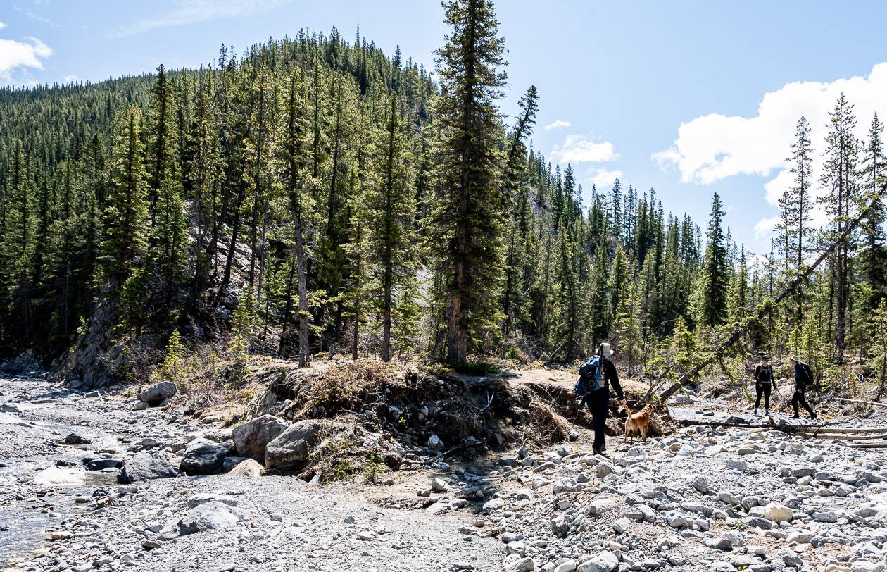 This is the junction of the two creeks and where you start to climb