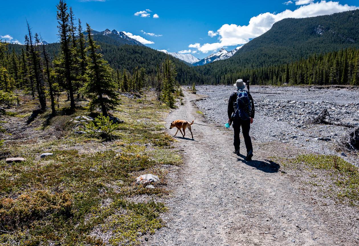 The hike starts by following Porcupine Creek