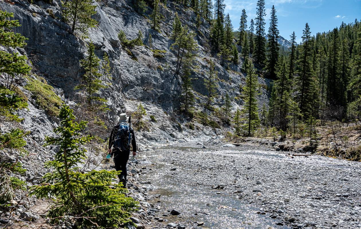 When the trail dies out on one side you'll have to rock hop across Porcupine Creek to pick up a trail on the other side