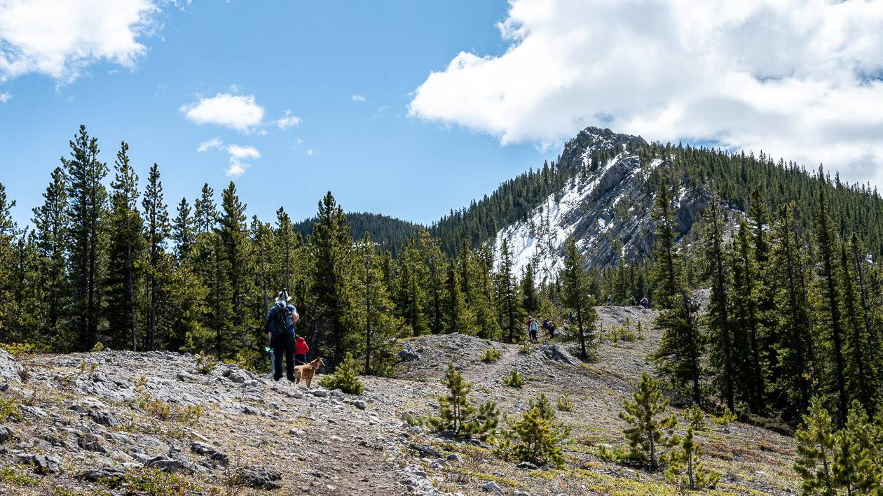 The Porcupine Ridge hike 