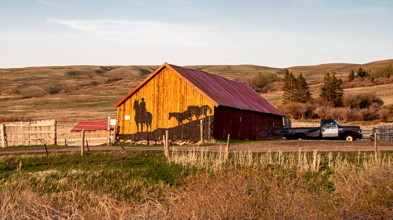 Saddle up for horseback rides in this building