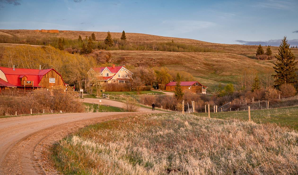 Reesor Ranch over the golden hour