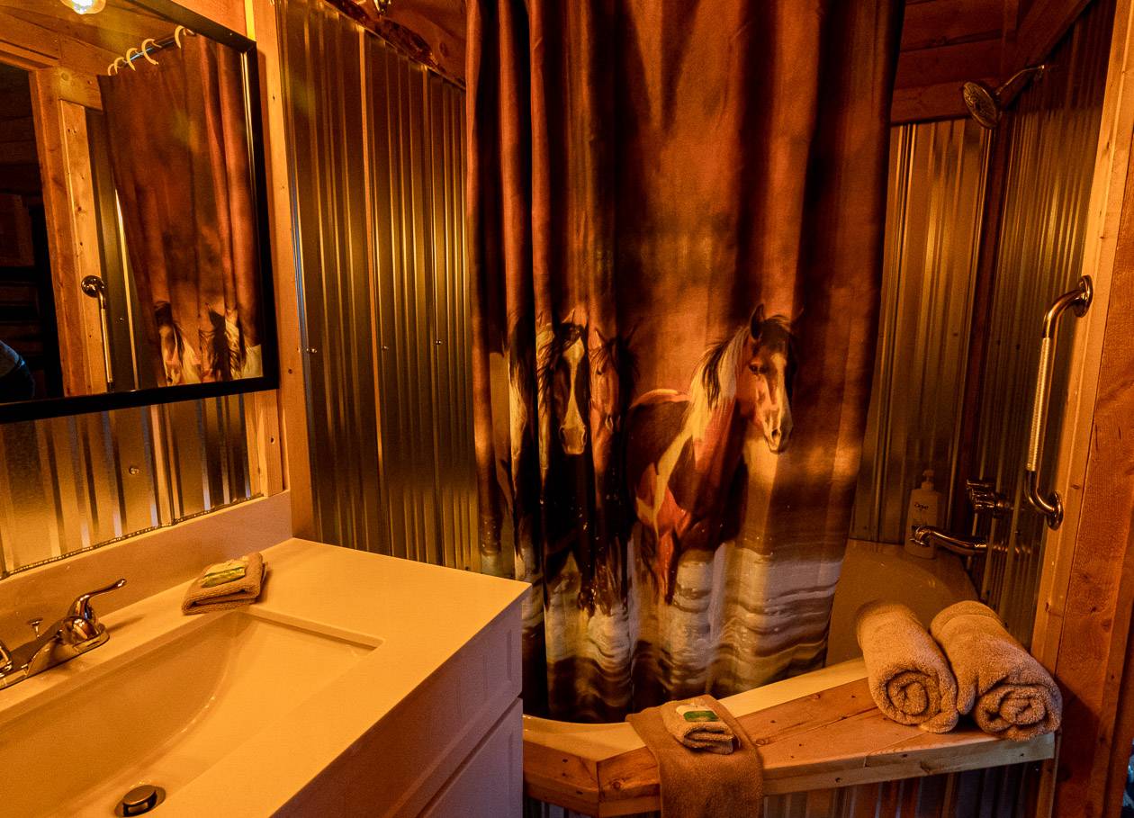 Even the shower curtains have horses on them