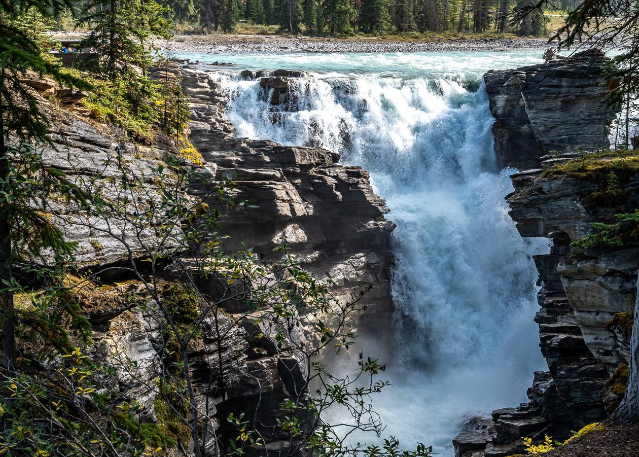 The top of Athabasca Falls - one of the most popular of the Alberta waterfalls