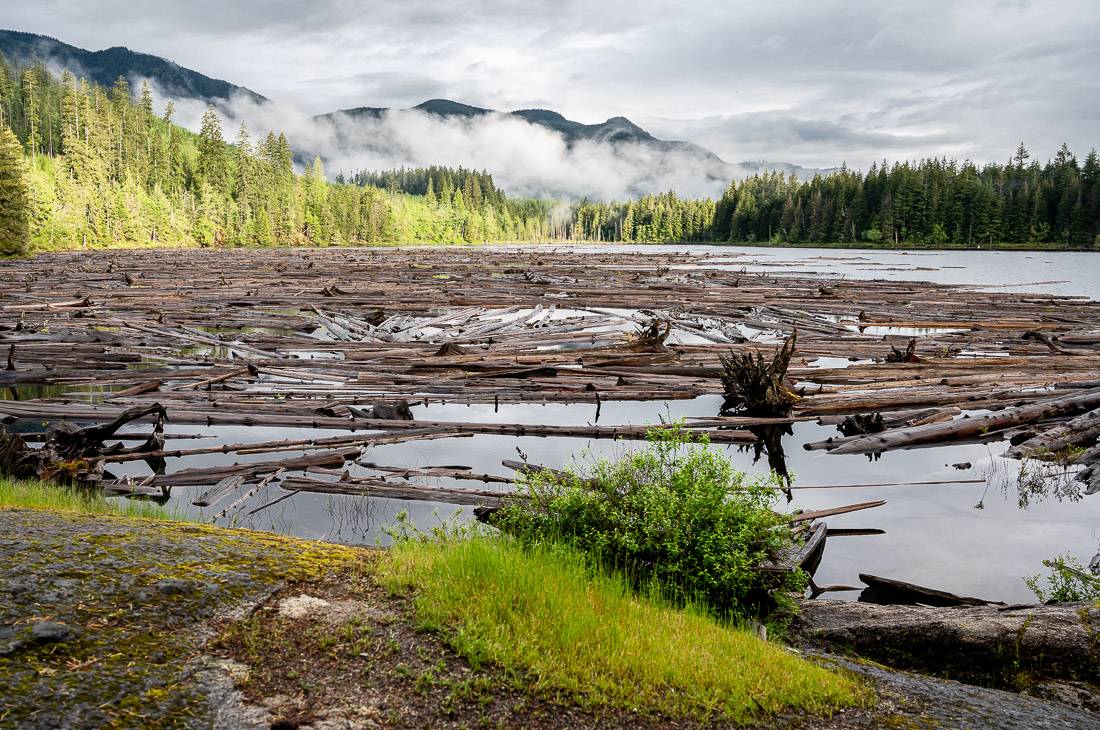 Morning on Horseshoe Lake - famous for the log jams you must navigate to leave