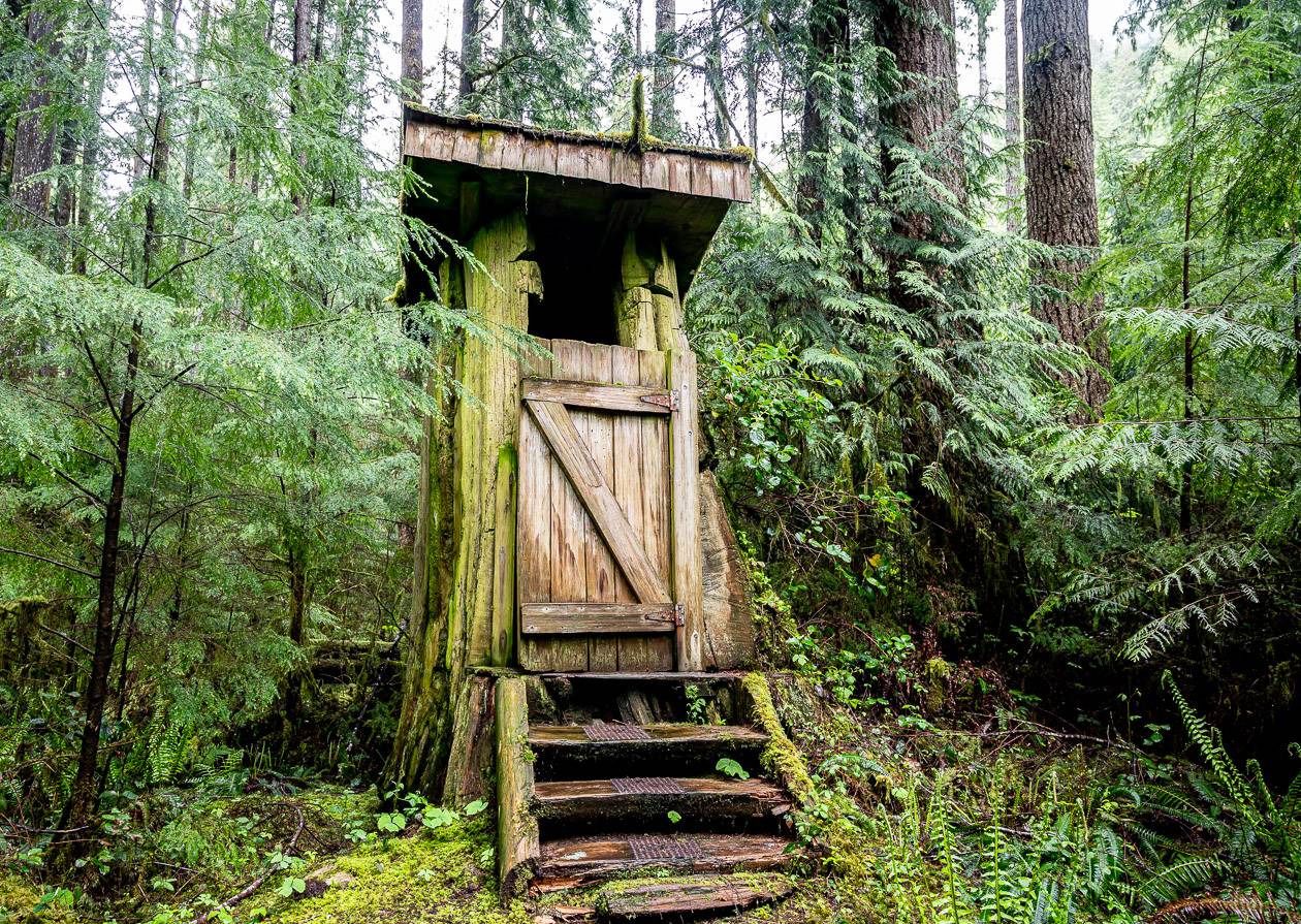An outhouse built into a tree stump on Windsor Lake