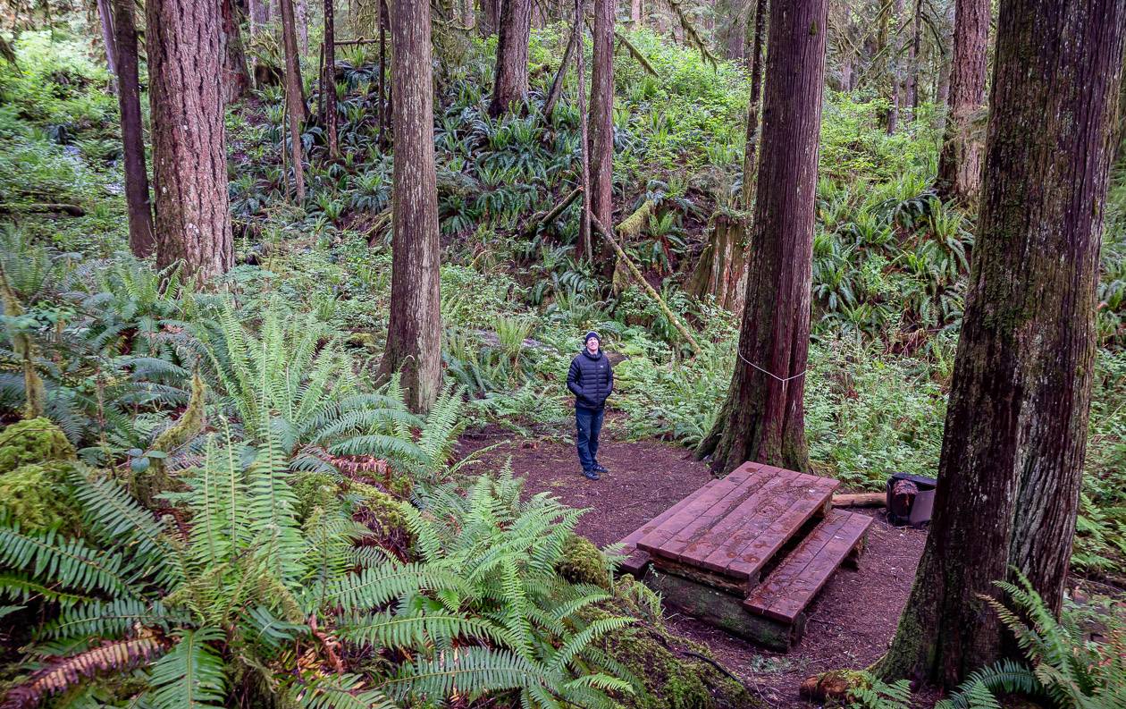 One of the campsites at Goat Lake