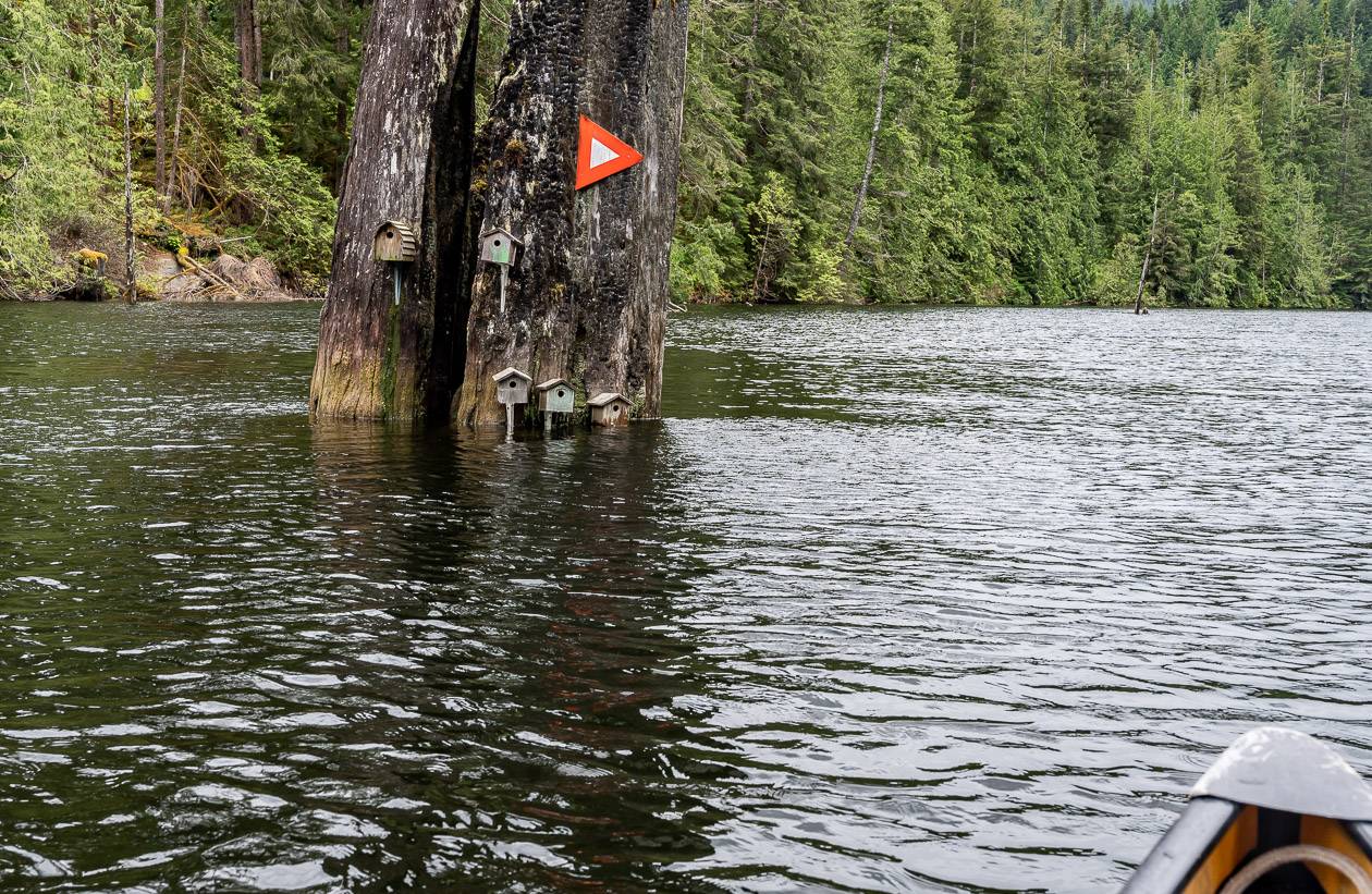 Follow the markers to reach Powell Lake