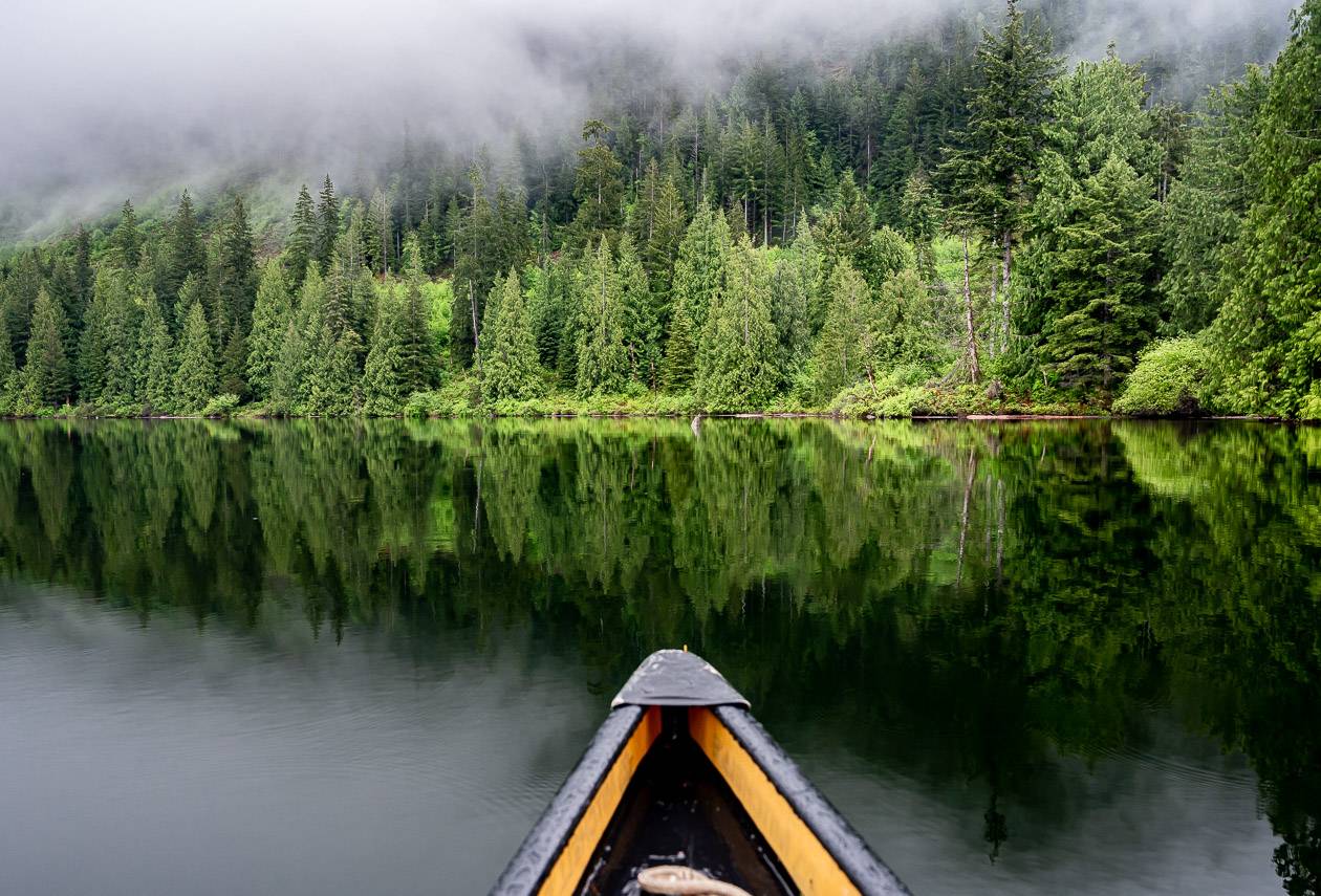 A study in green on Dodd Lake