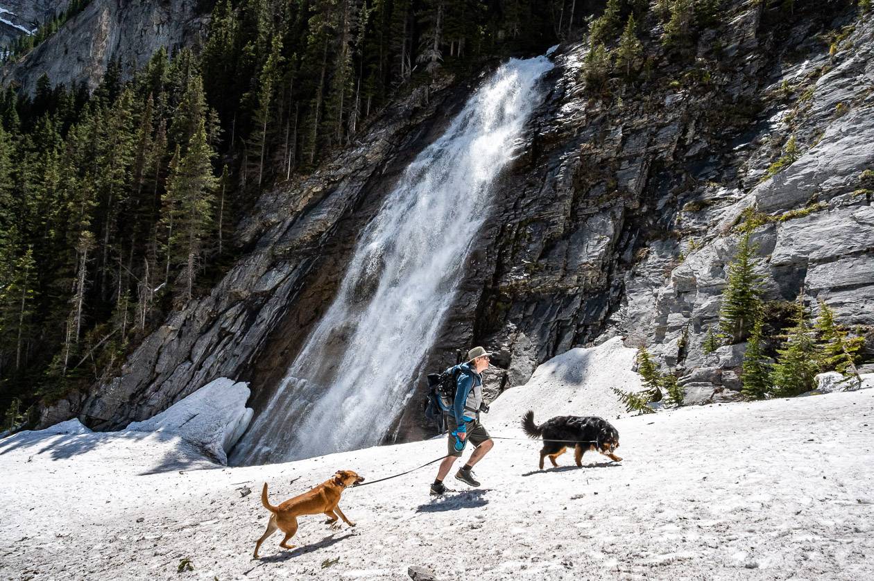 John heading for a better view of Ribbon Falls with Rosie the Bernese and Mila from Mexico