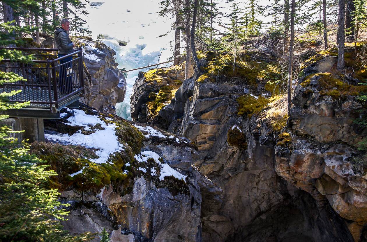 Siffleur Falls descends through a pretty canyon