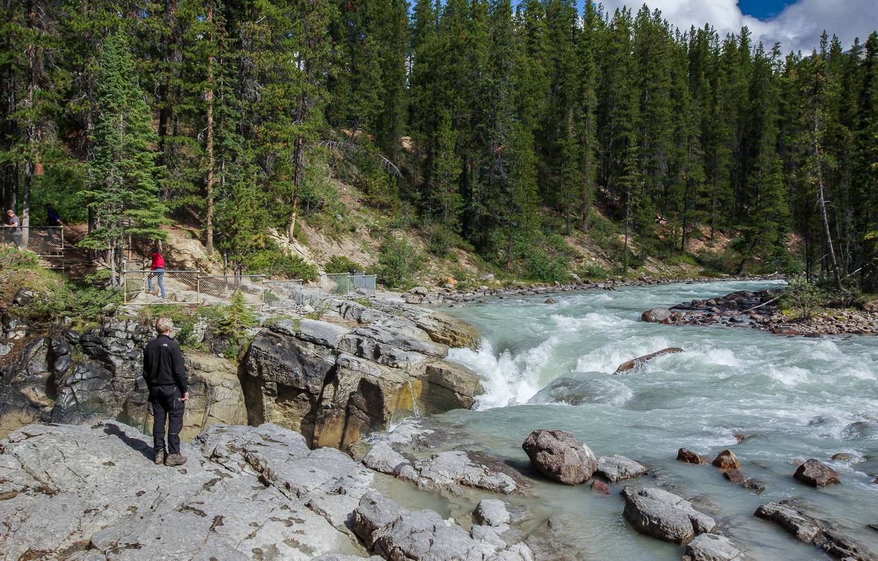 The start of Sunwapta Falls