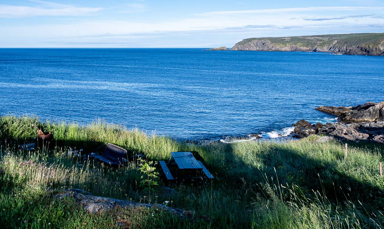 View from the back of our B&B in Pouch Cove