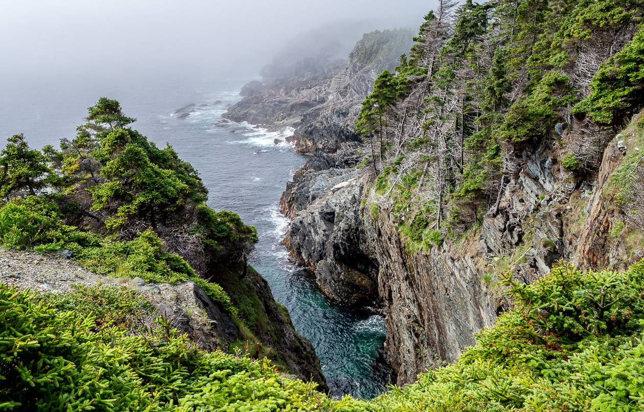 You can a sense of the ruggedness of the East Coast Trail very quickly