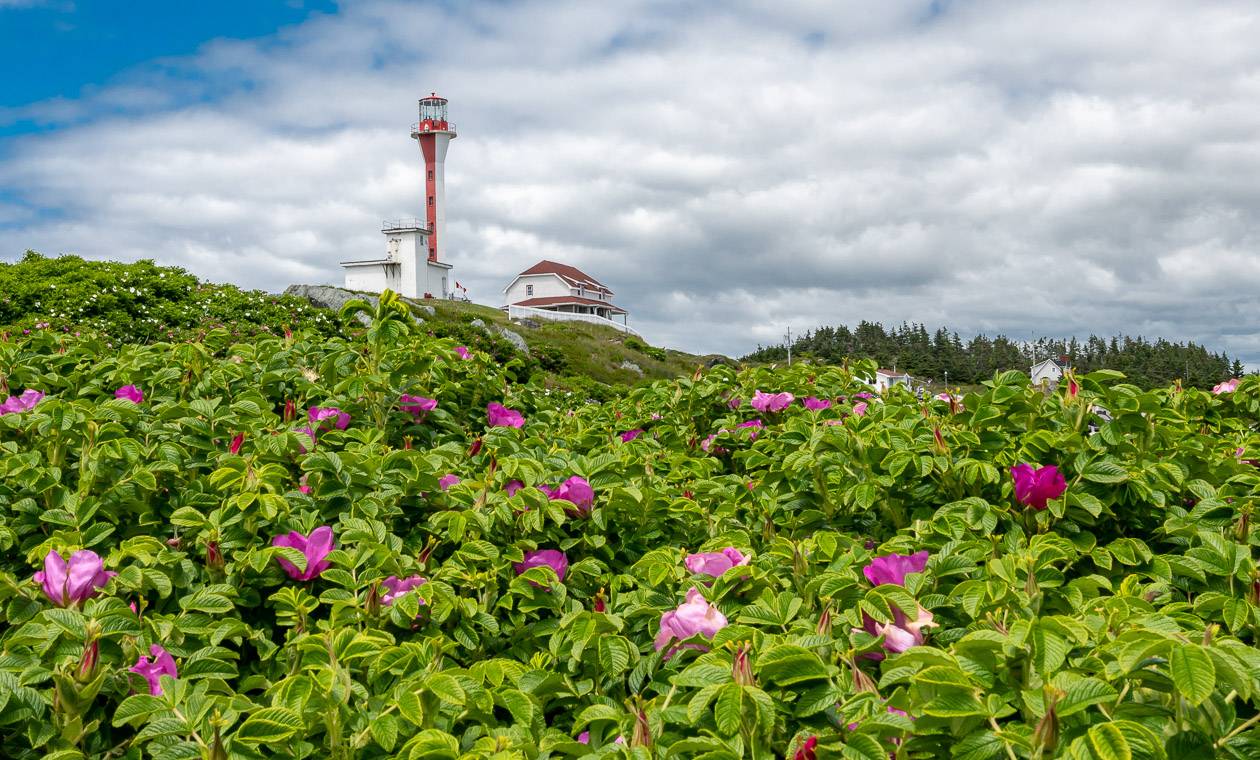 What a gorgeous location for the Cape Forchu Lighthouse