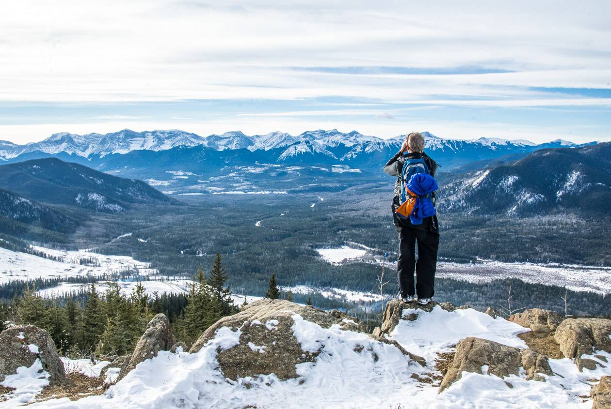 View from the Athabasca Lookout in William A. Switzer Provincial Park