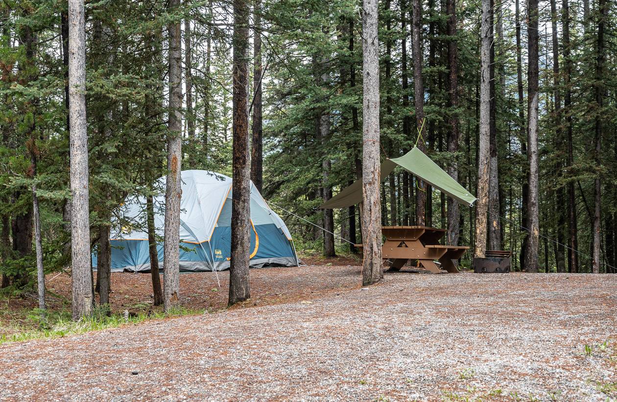 Campsites are heavily treed in the Boulton Creek Campground