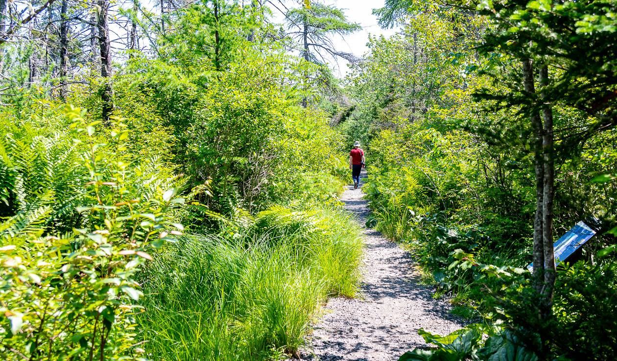 Very pleasant hiking with lots of interpretive signage