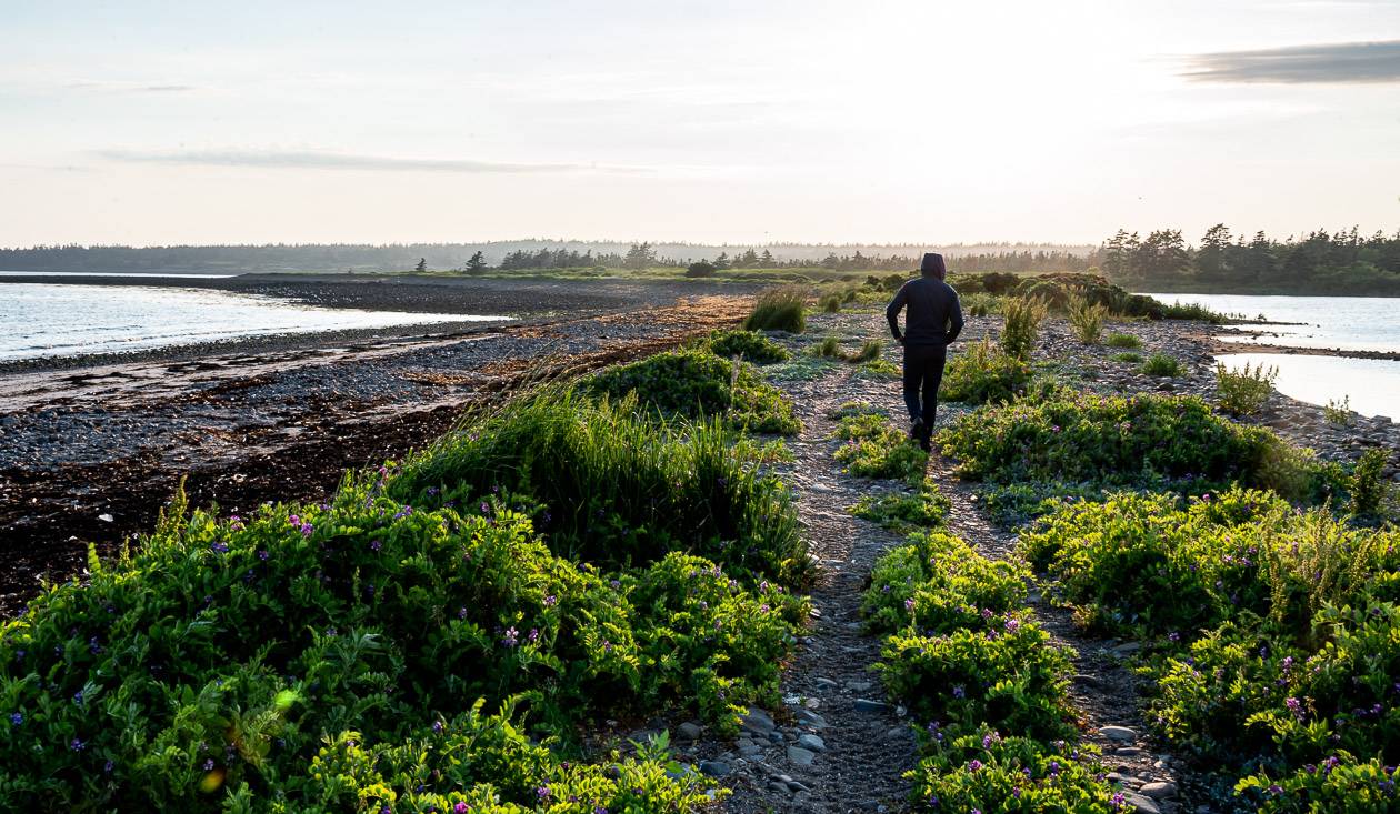 We have the trail to ourselves on a summer evening