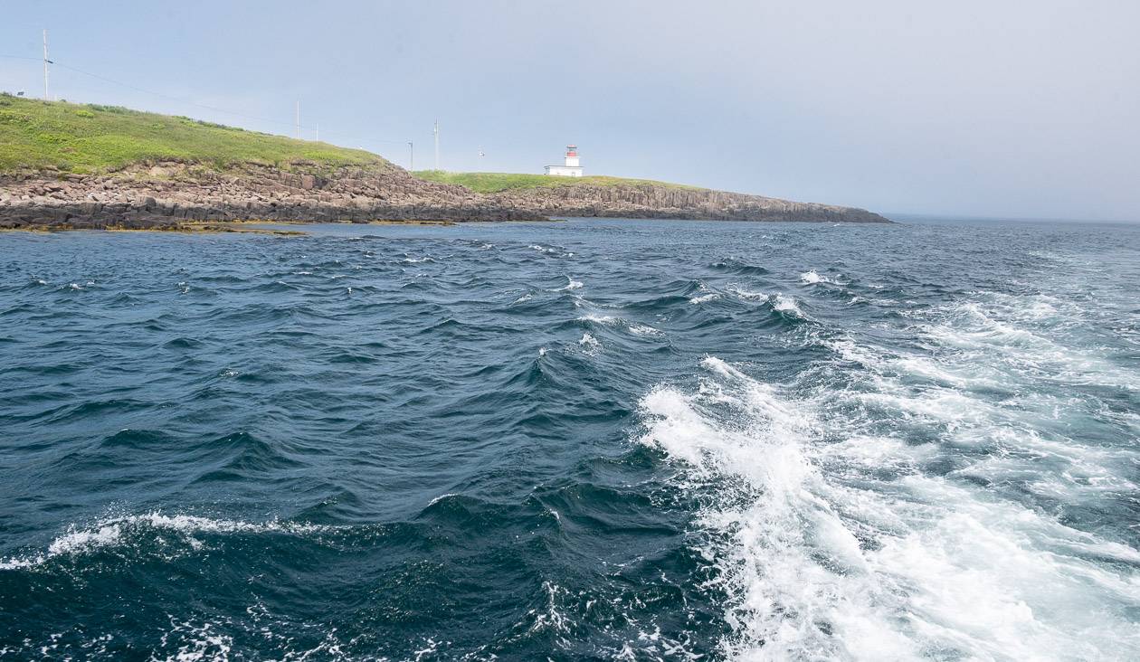 When the fog lifted we got a chance to see one of the lighthouses on Brier Island