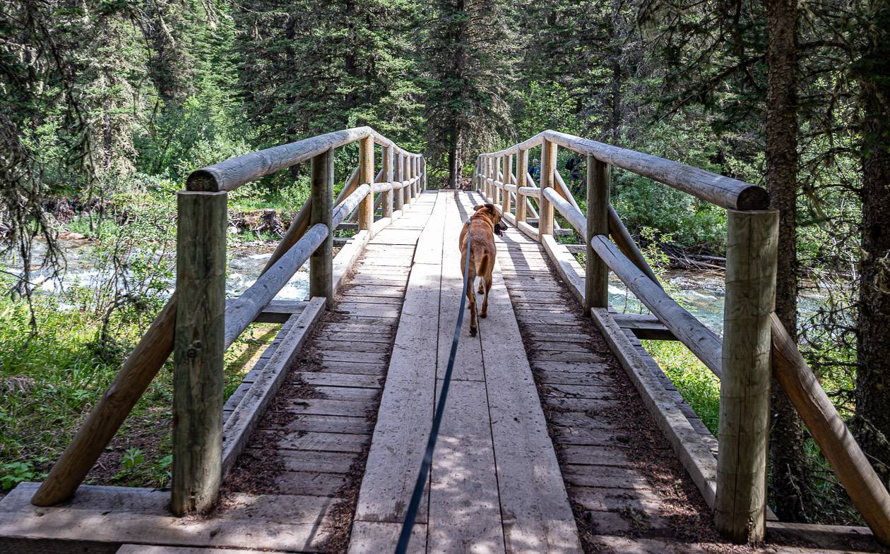 Cross the bridge over Forty Mile Creek