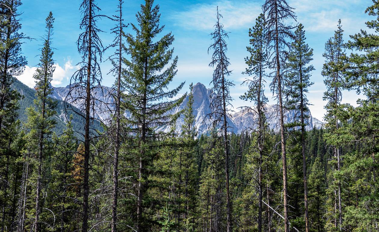 The views don't get any better than this until you reach the Cascade Amphitheatre