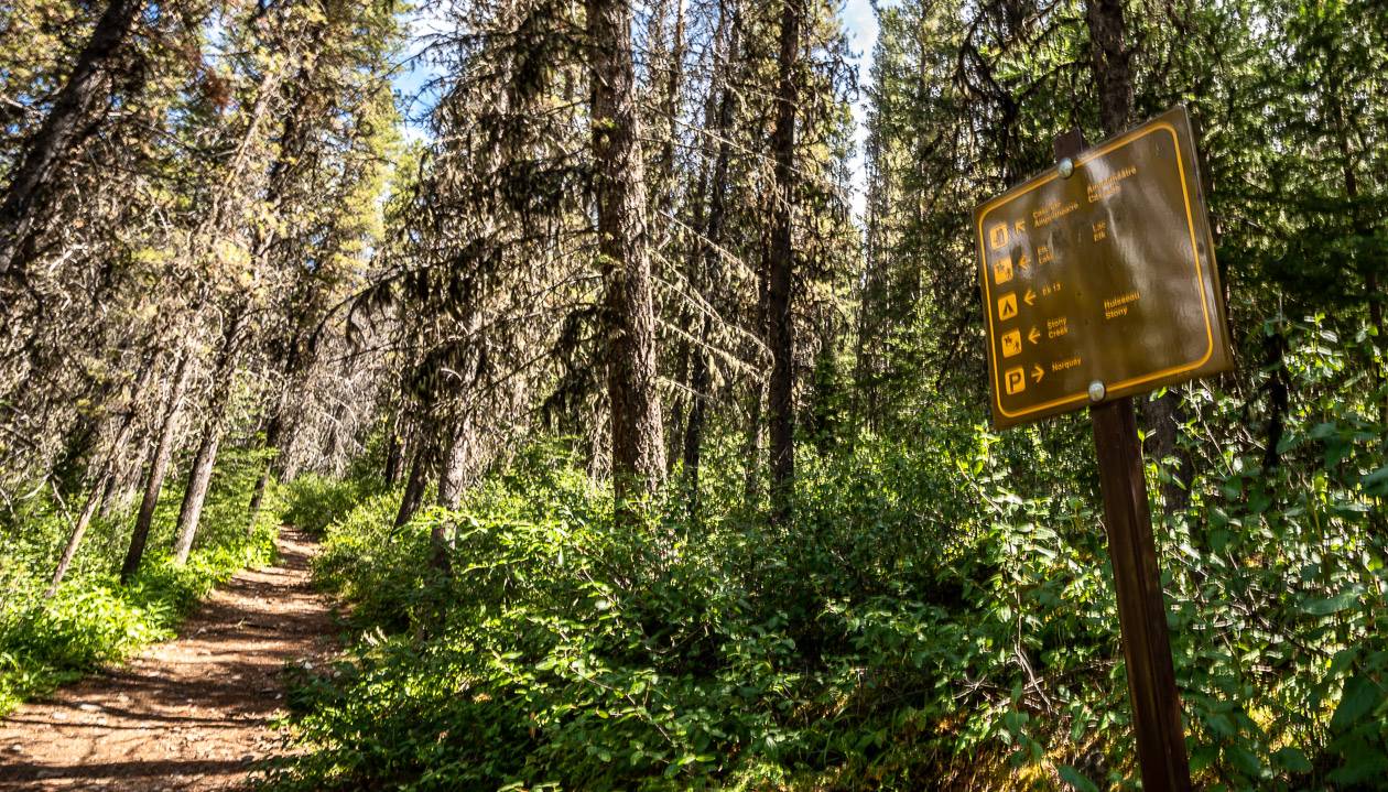 The final turnoff marked by signage leading to the Cascade Amphitheatre