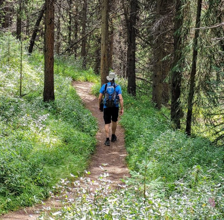 Valley of the Five Lakes Hike, Jasper | Hike Bike Travel