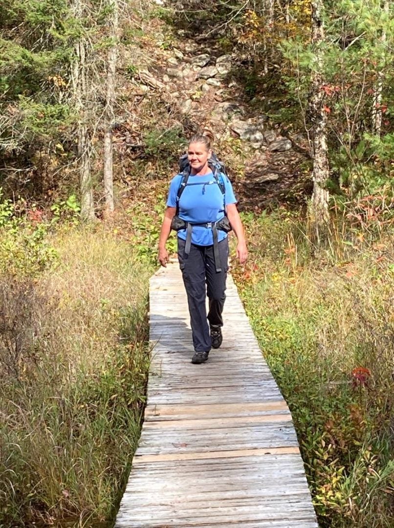 Boardwalk through the wetlands