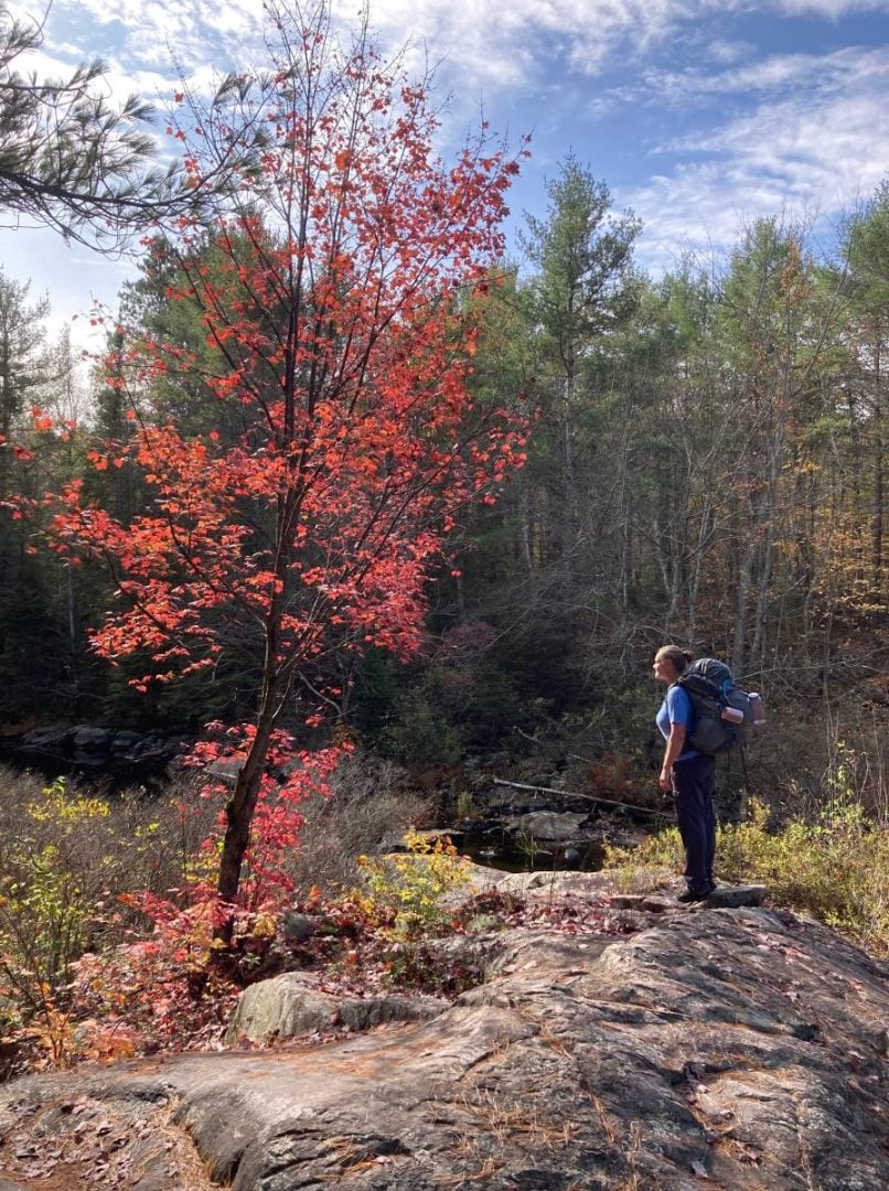 Autumn colours on Abes and Essens Lake Trail