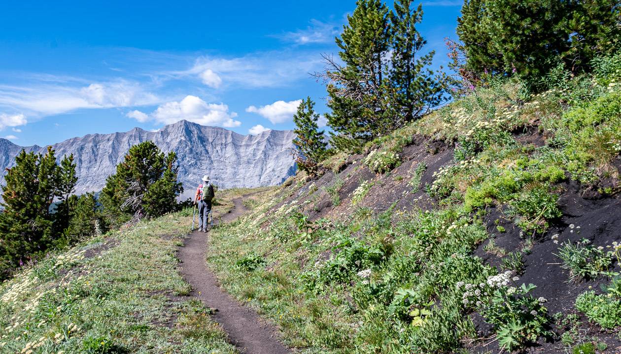 Almost at a prominent switchback