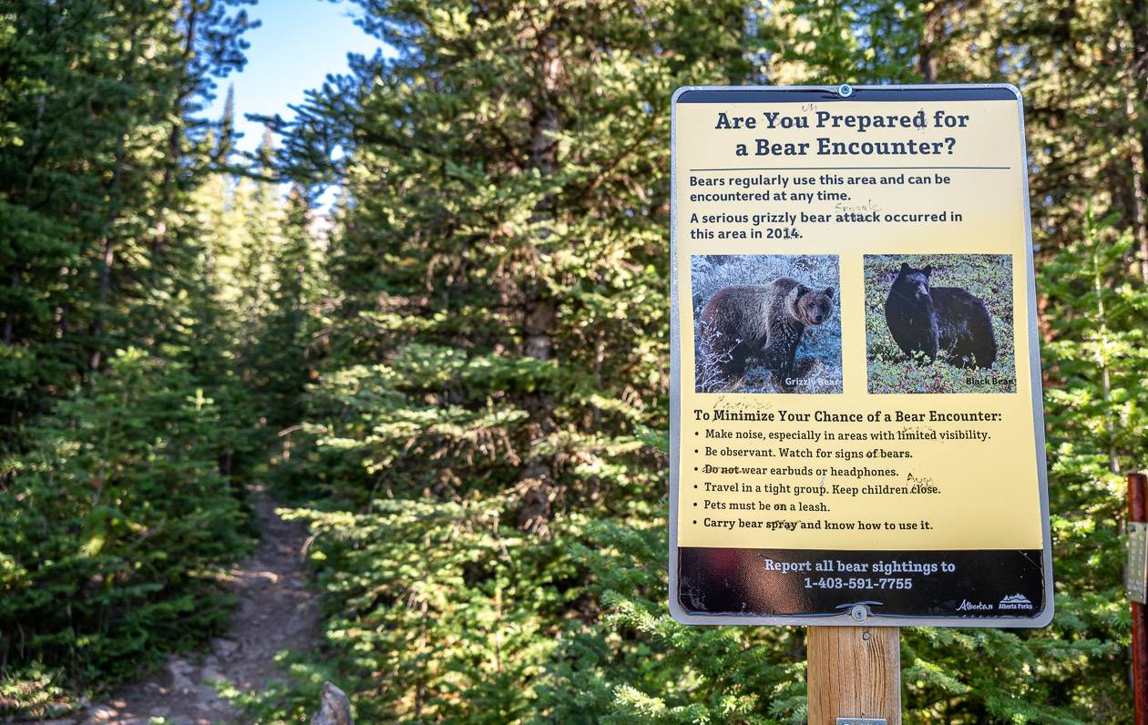 There is no trail signage at the trailhead - simply a warning about bears