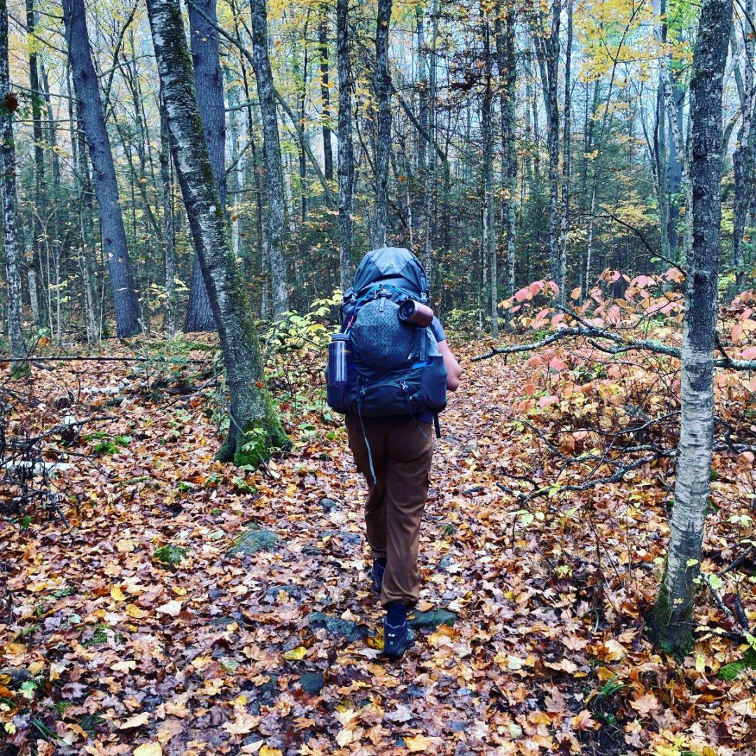 Off through a carpet of autumn leaves