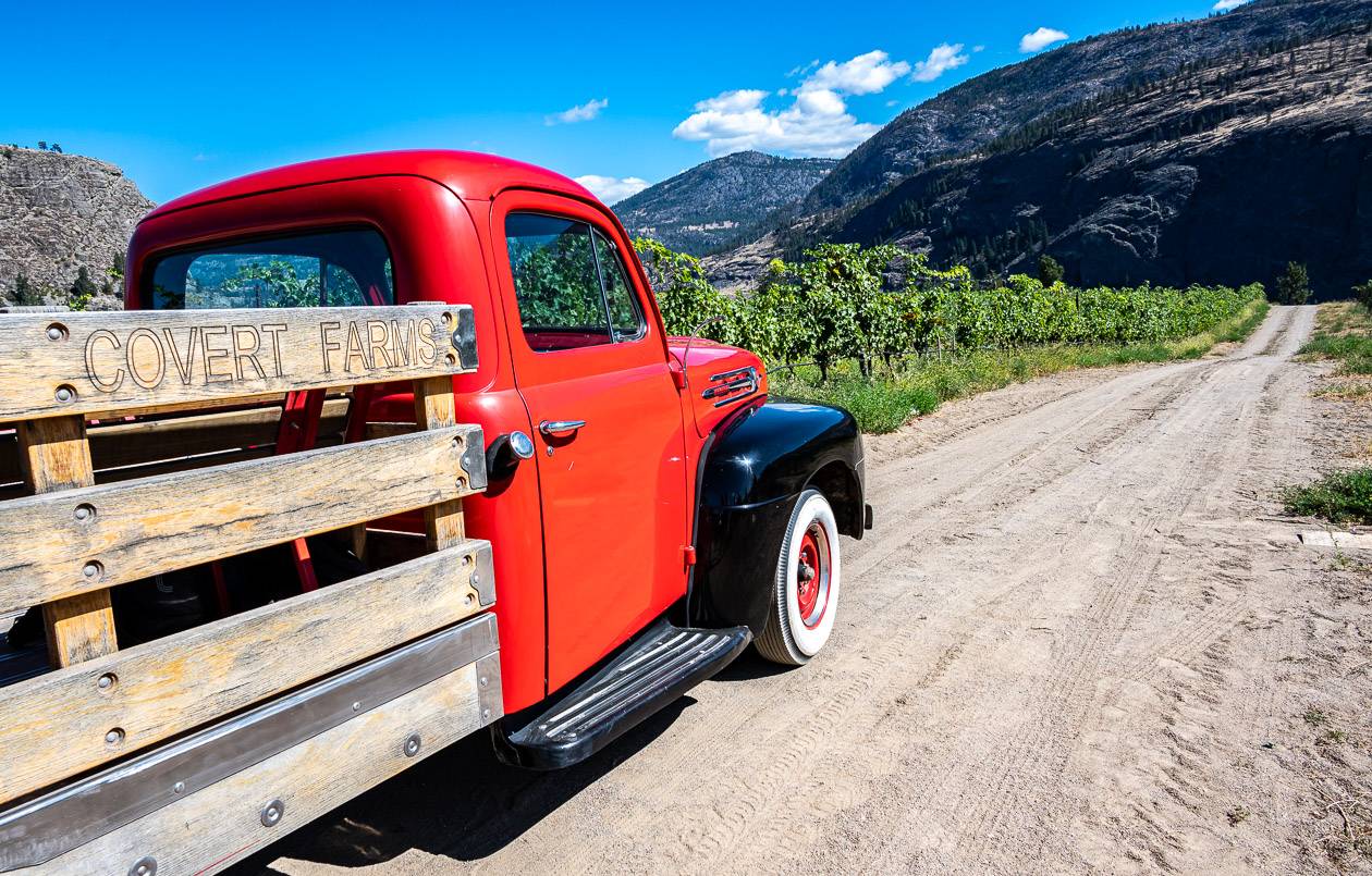 Enjoy a farm tour in this '52 Mercury truck where you'll learn about sustainable farming and winemaking 