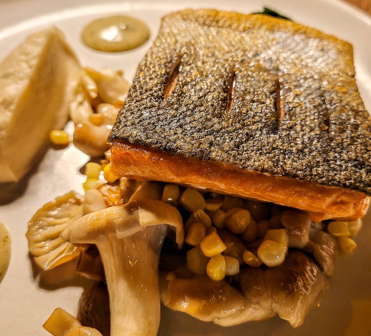 Wild salmon from BC with fresh corn and mushrooms