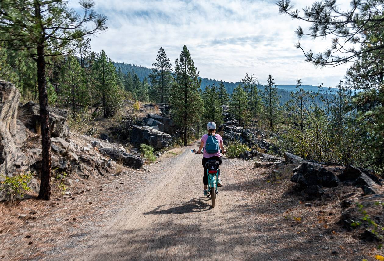 Gorgeous bike riding through pine forest above Naramata