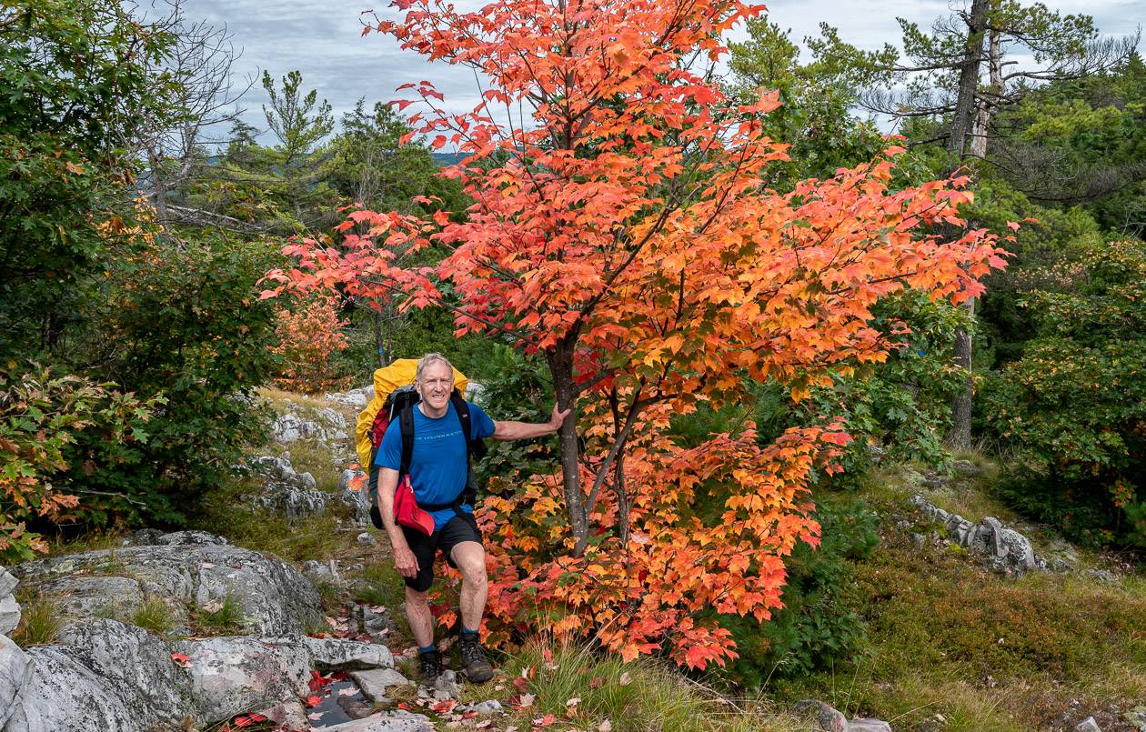 If it had been a week later the hills would have been blasted with colours