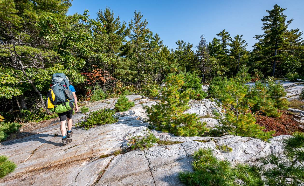 Delightful walking in a few places on quartzite ridges