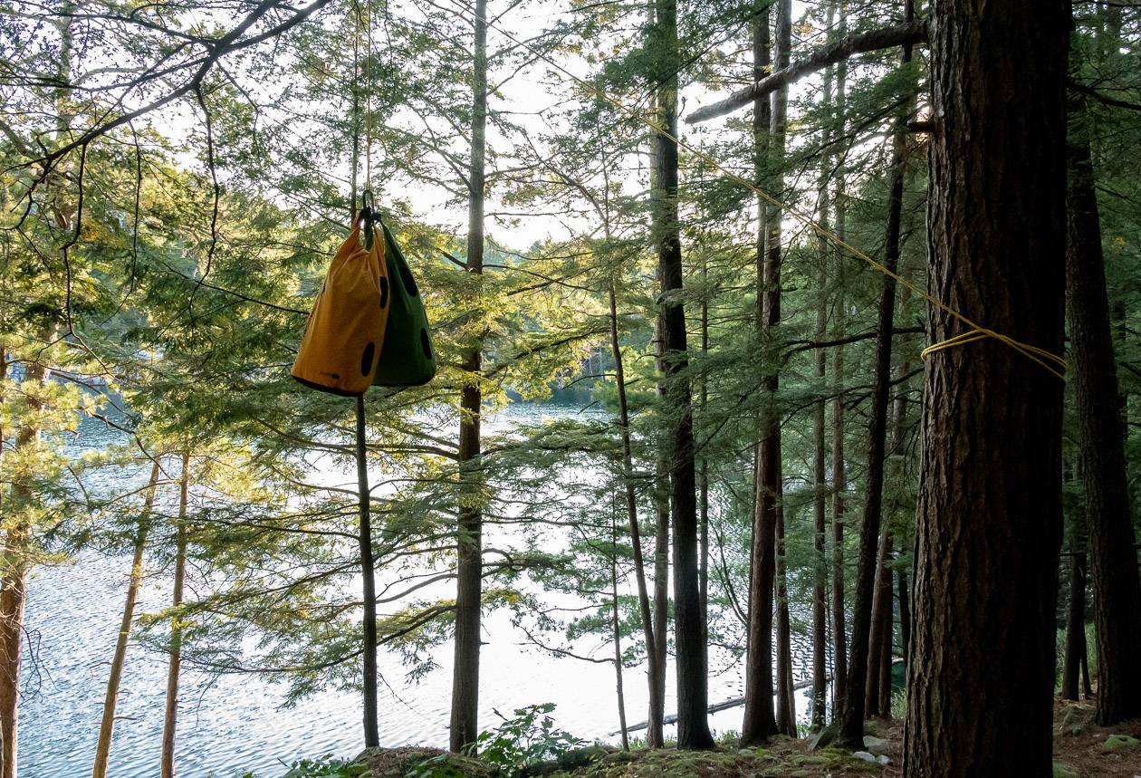 Hanging food every night is very important