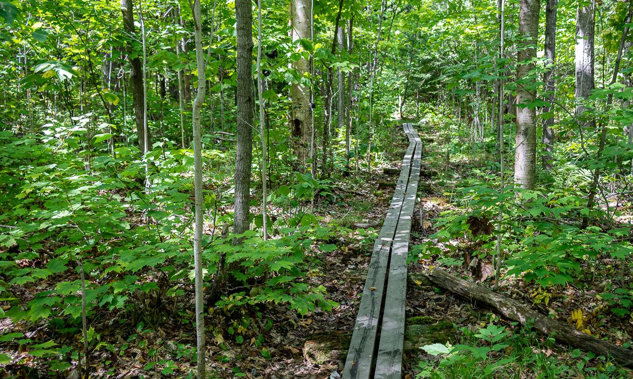 There were occasional sections of boardwalk though most were on the flimsy side and slippery