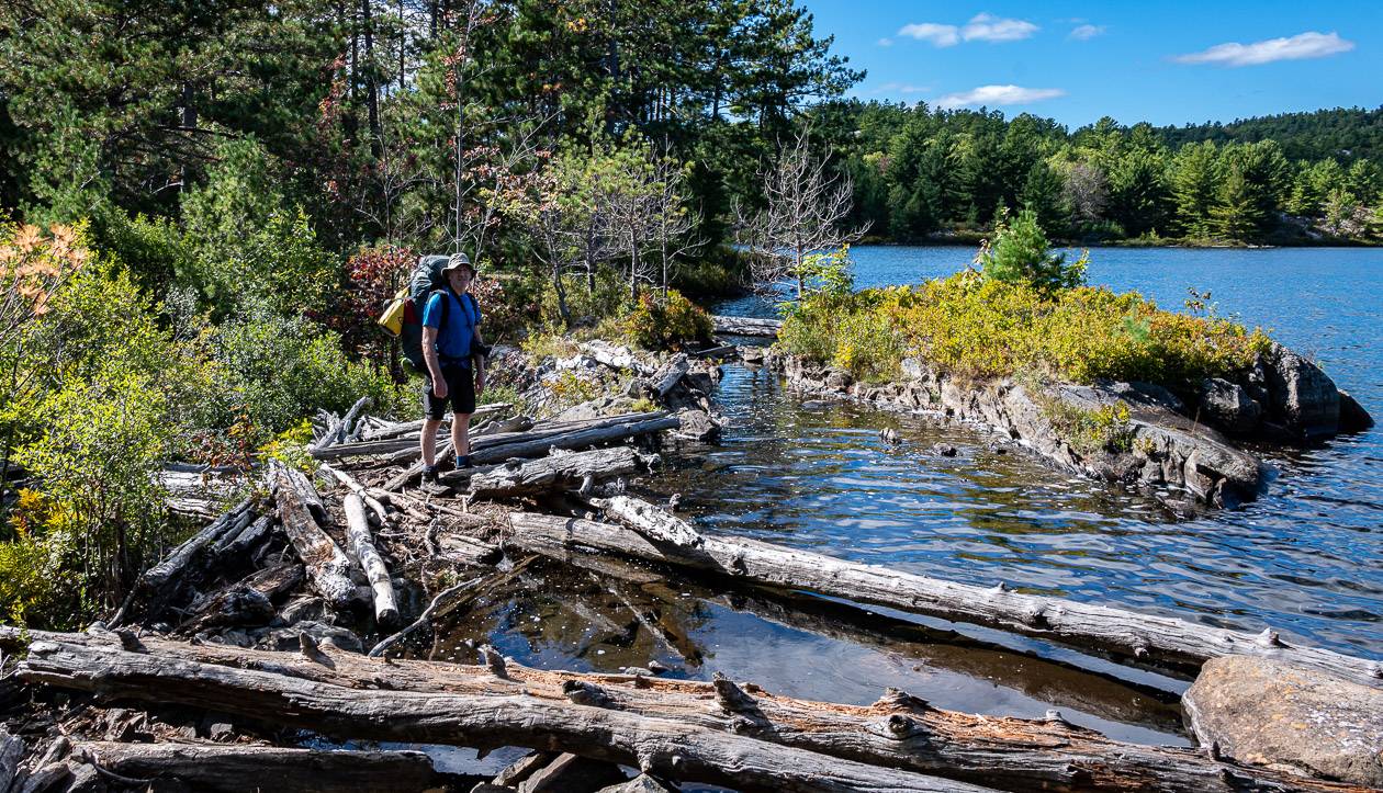 The first beaver dam of the hike that we crossed