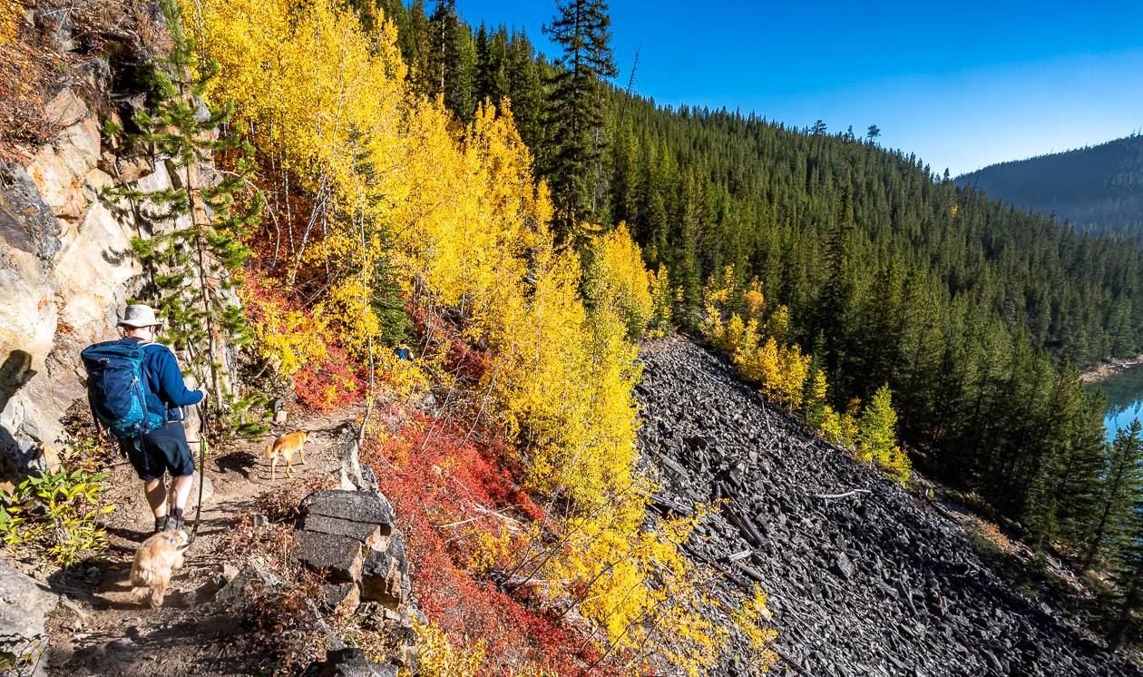 A blast of colour around Vista Lake