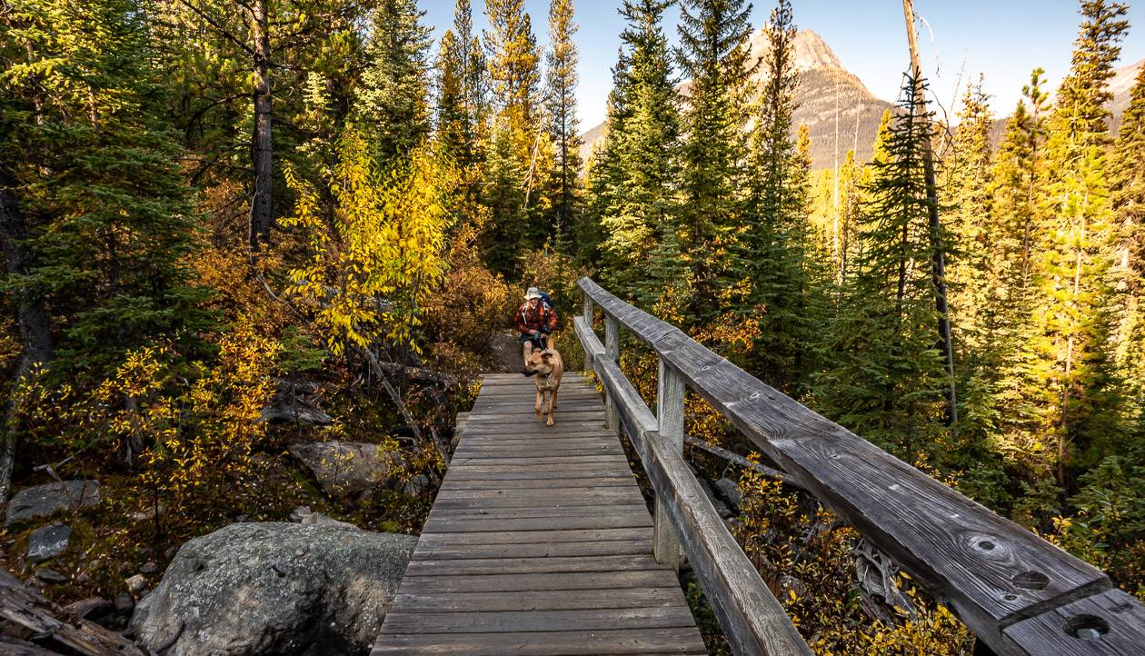 One of the few bridges you cross on the Arnica Lake trail