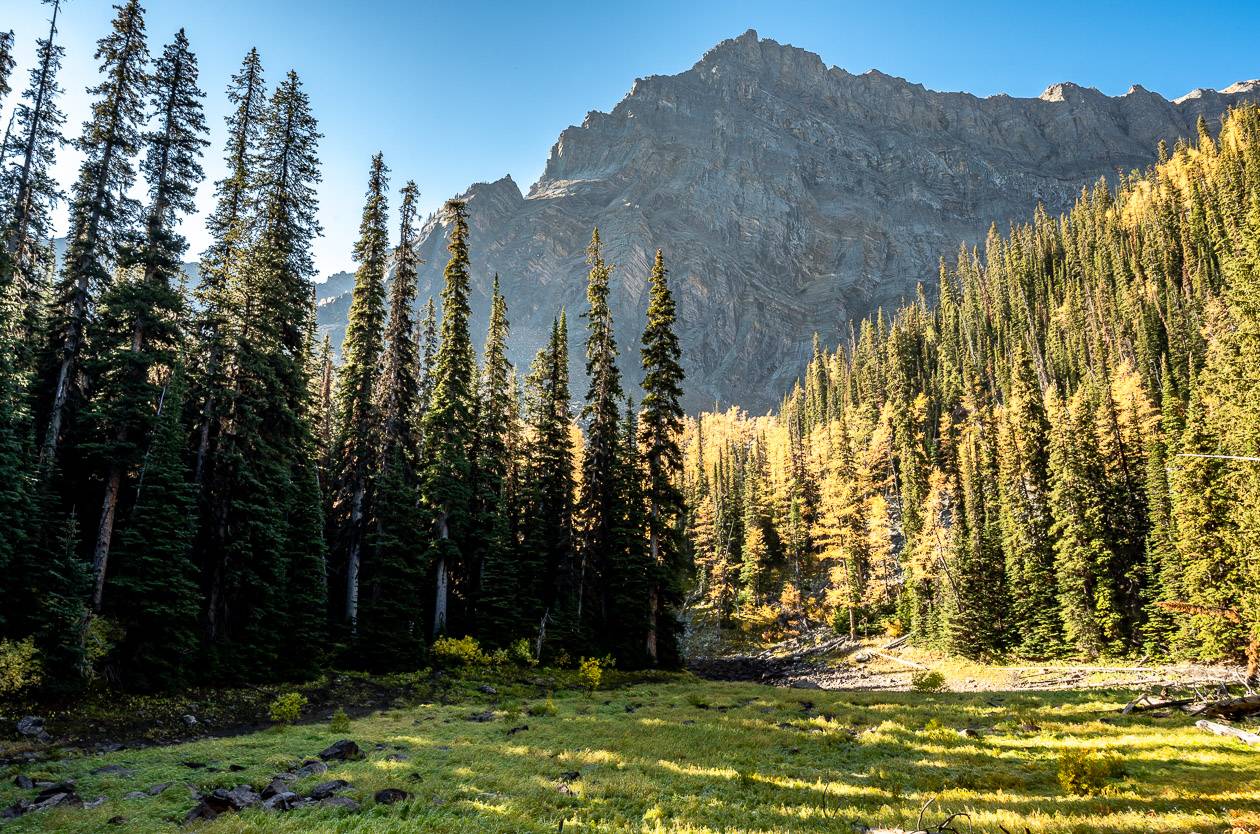 A short, flat section about 20 minutes out from Arnica Lake