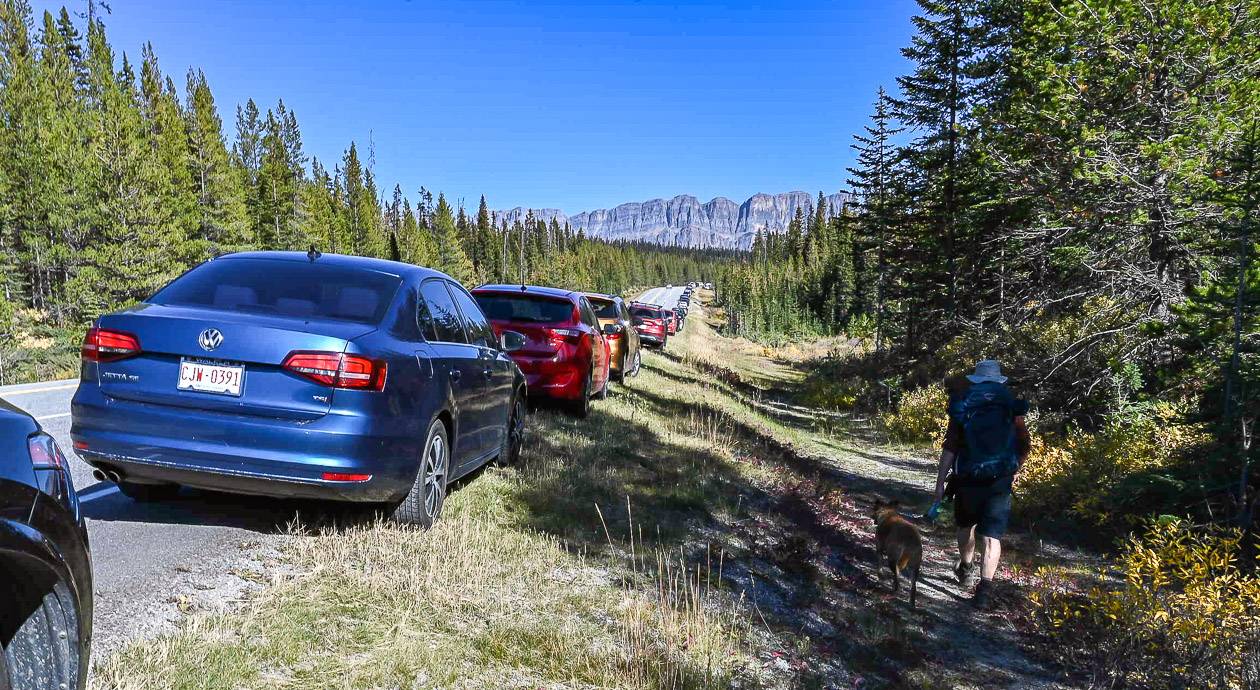 Parking at the Vista Lake trailhead along Highway 93 in larch season - avoid weekends!