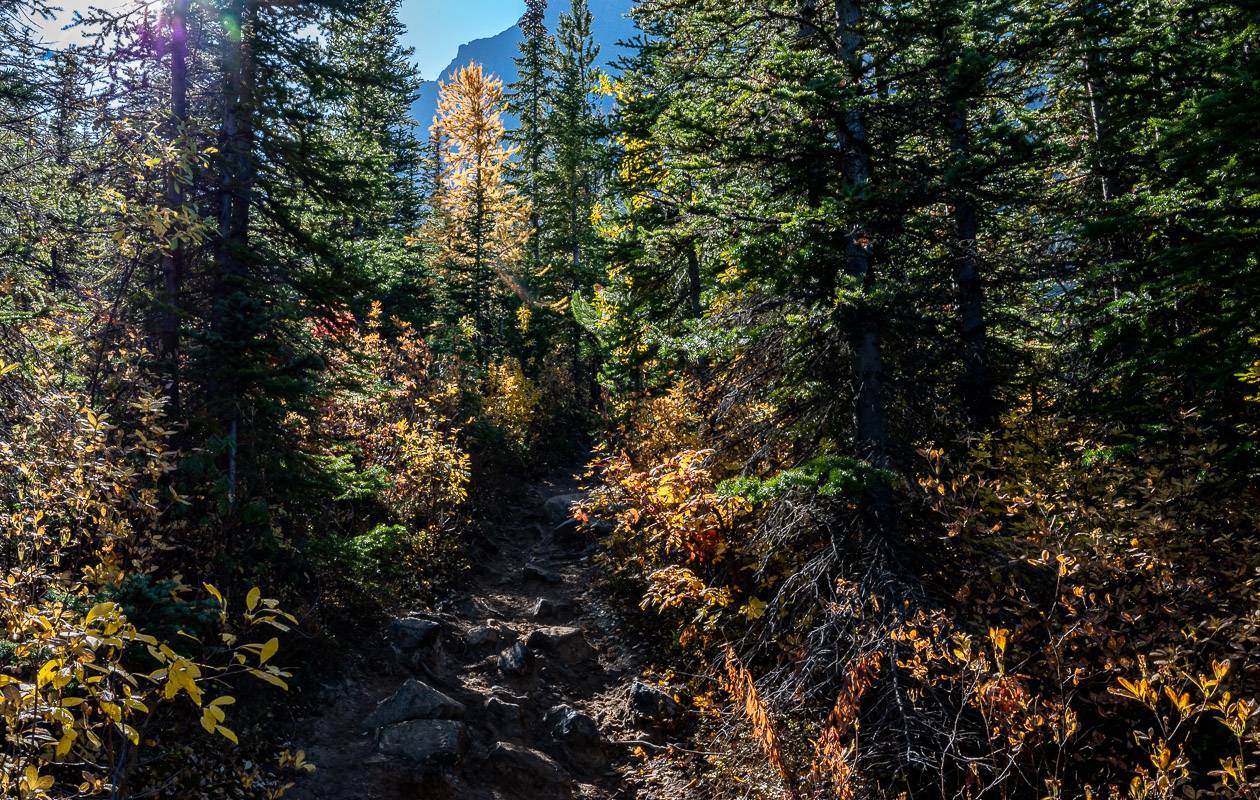 Tricky hiking on the descent when the stones are covered with moisture